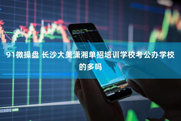 91微操盘 长沙大美潇湘单招培训学校考公办学校的多吗