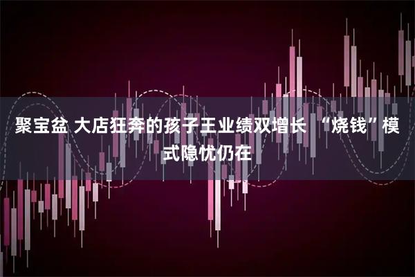 聚宝盆 大店狂奔的孩子王业绩双增长  “烧钱”模式隐忧仍在
