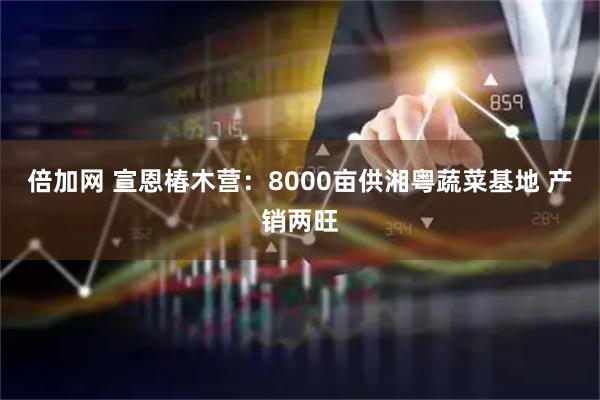 倍加网 宣恩椿木营：8000亩供湘粤蔬菜基地 产销两旺