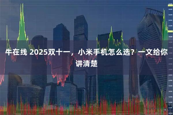 牛在线 2025双十一,小米手机怎么选?一文给你讲清楚