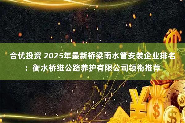 合优投资 2025年最新桥梁雨水管安装企业排名：衡水桥维公路养护有限公司领衔推荐
