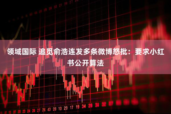 领域国际 追觅俞浩连发多条微博怒批:要求小红书公开算法